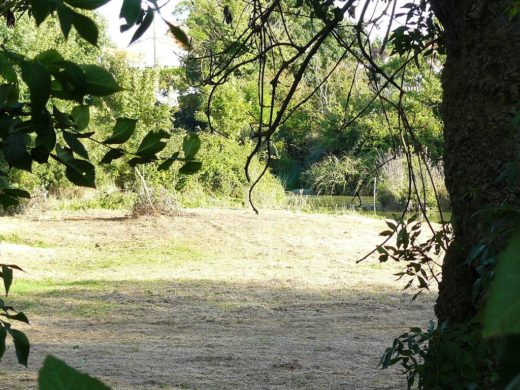 Les Plenitudes Du Rivage Villa Saint-Vincent-sur-Jard Exterior foto